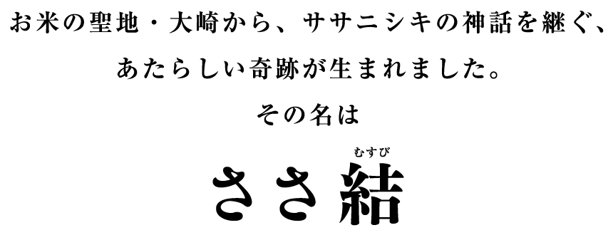 お米の聖地・大崎から、ササニシキの神話を継ぐ、あたらしい奇跡が生まれました。その名はささ結