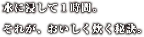 水に浸して1時間。それが、おいしく炊く秘訣。